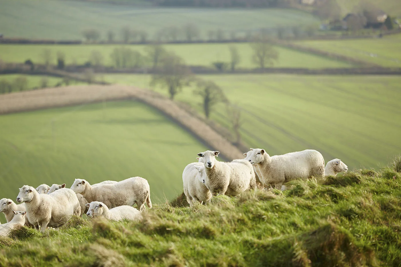 Martin's Hill - Oxfordshire