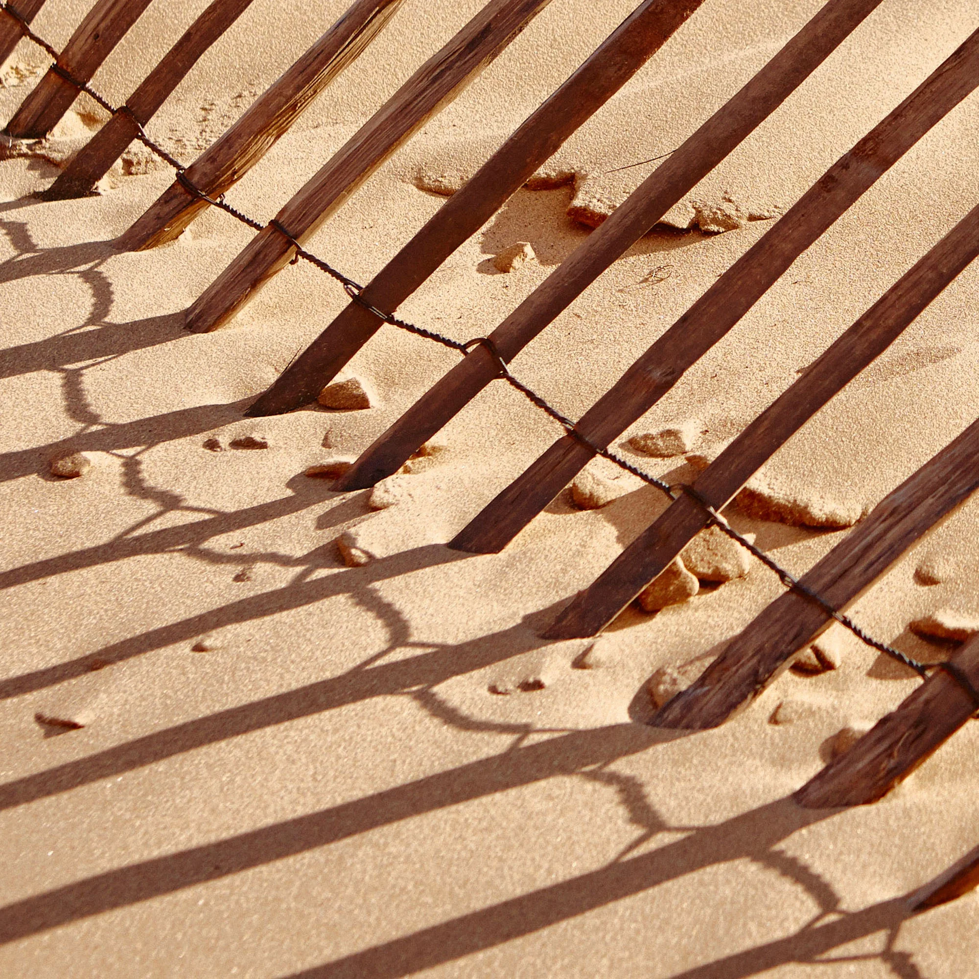 Formby
