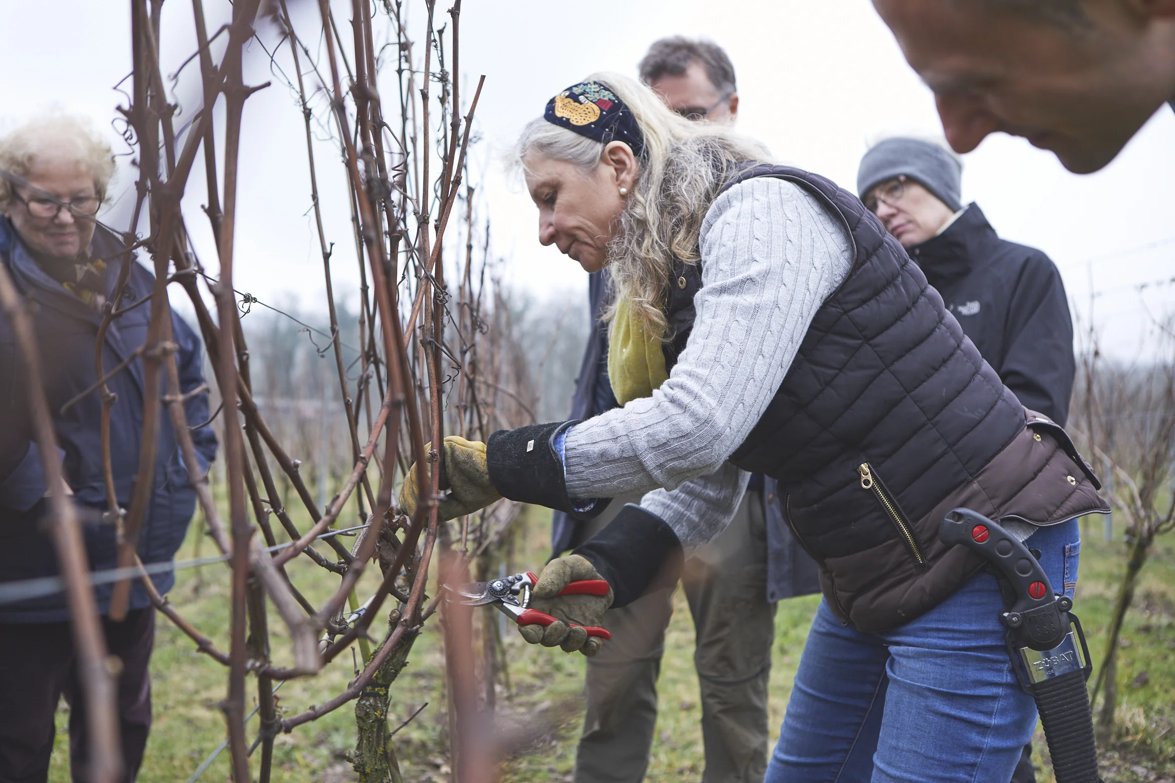 Pruning and Tying Down Vines - Feb '19