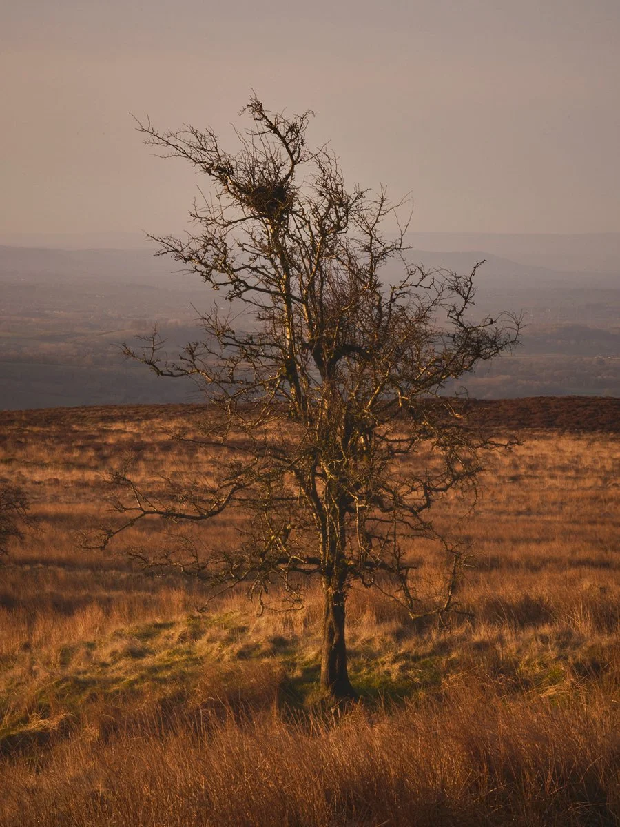 2026-02-Shropshire_07.jpg
