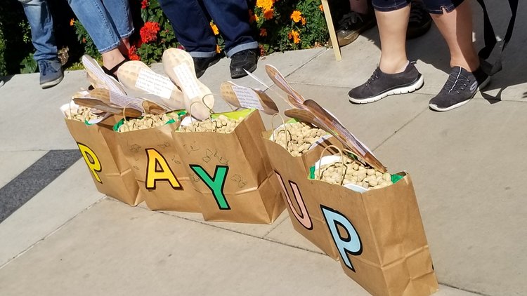 what you get when you pay peanuts...