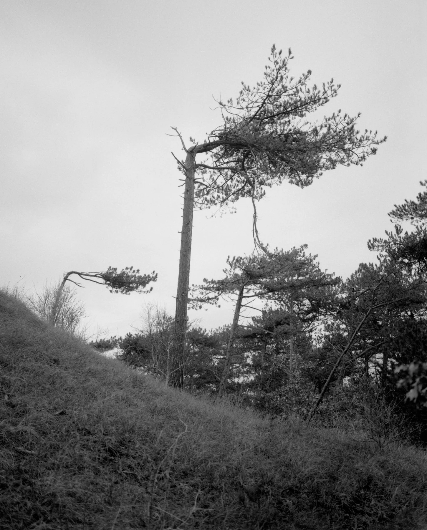 Untitled (2)-Edit.jpg