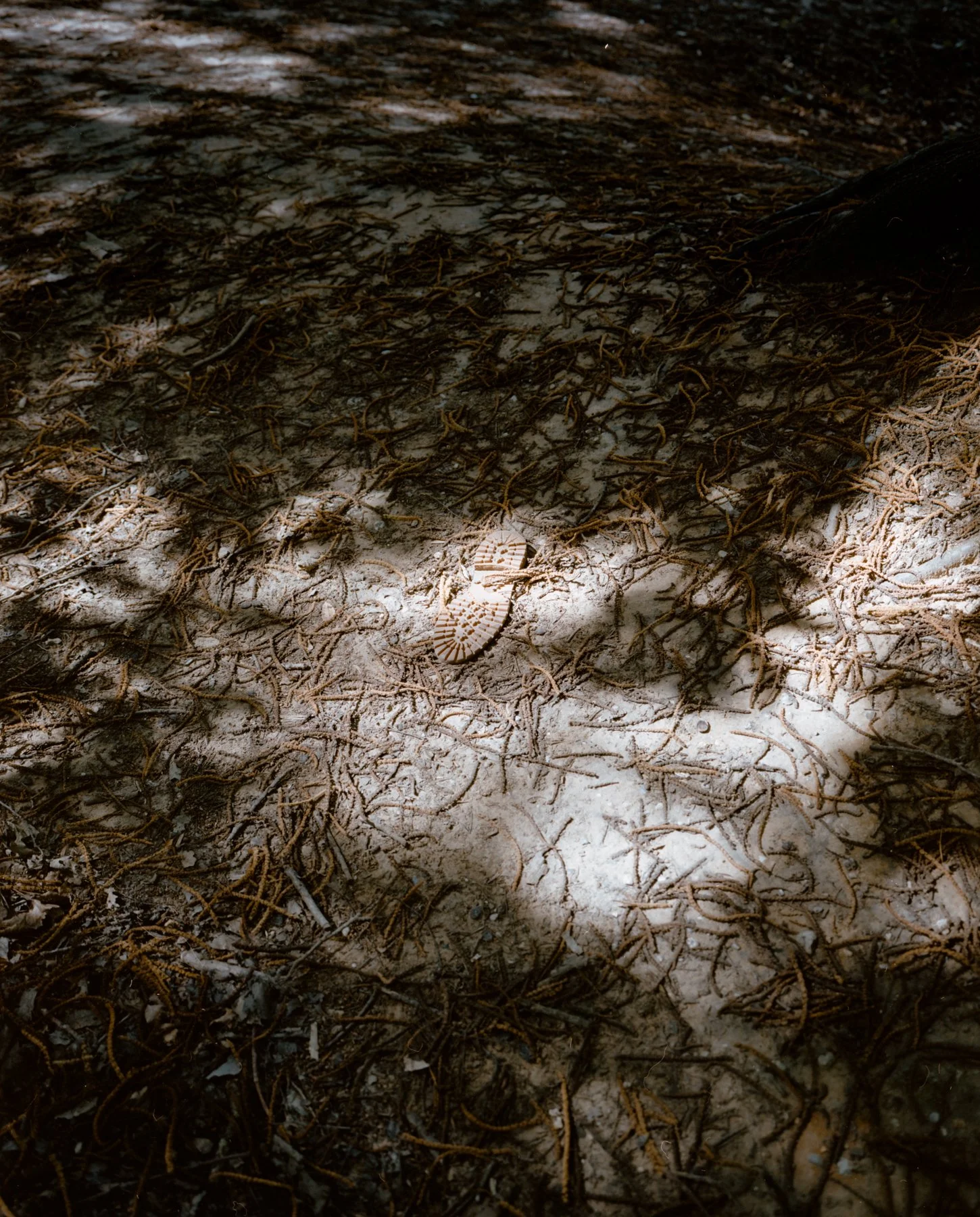Untitled (3)-Edit-Edit.jpg