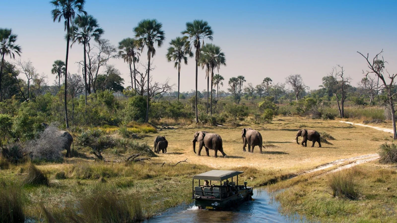 Herd-of-Elephants-walking-while-guests-cross-channel-on-a-Safari-Game-Drive-in-Botswana-1600x900.jpg