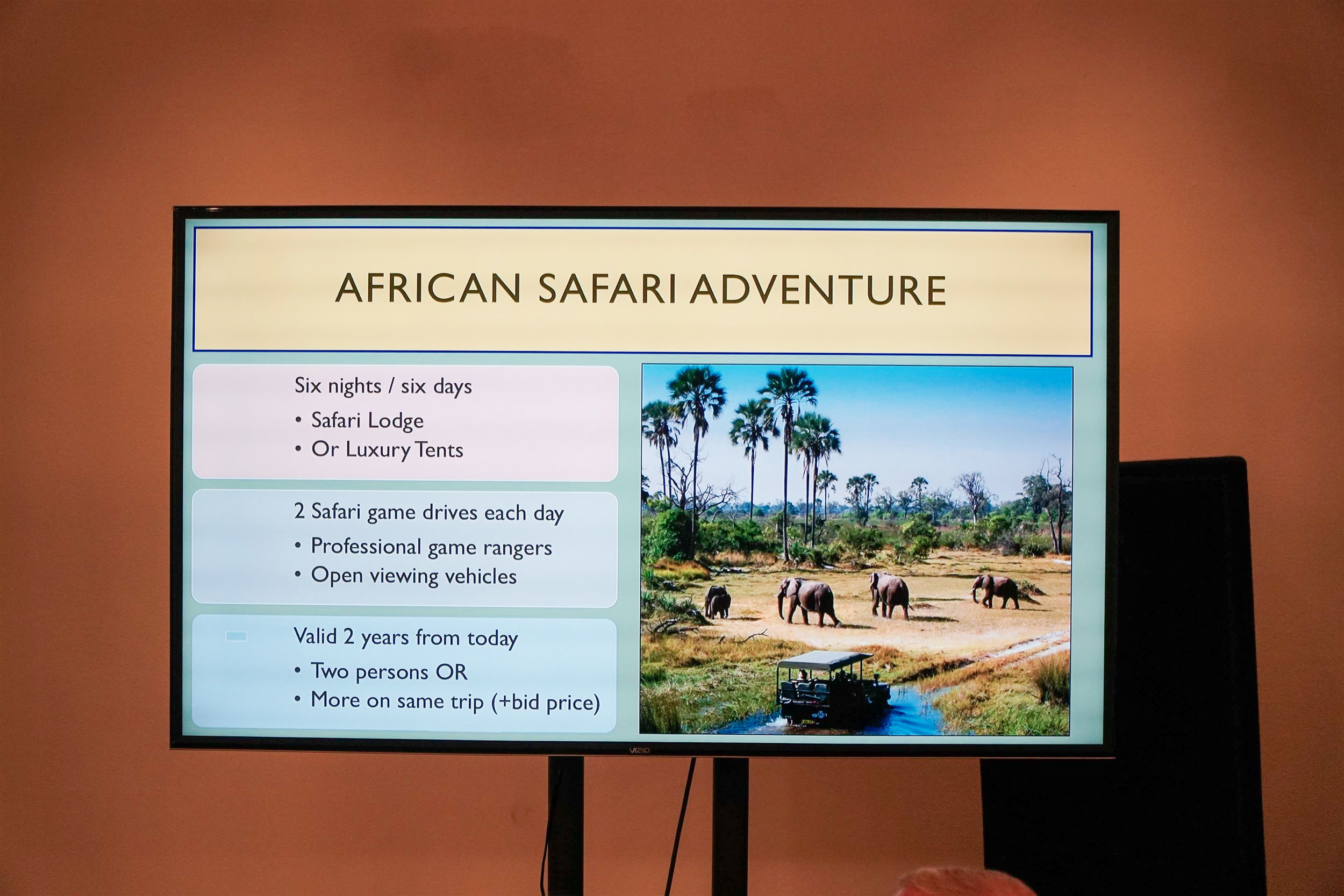 African Safari Live Auction 