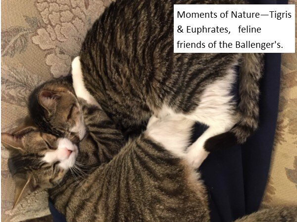 Moments of Nature - Ballenger.jpg