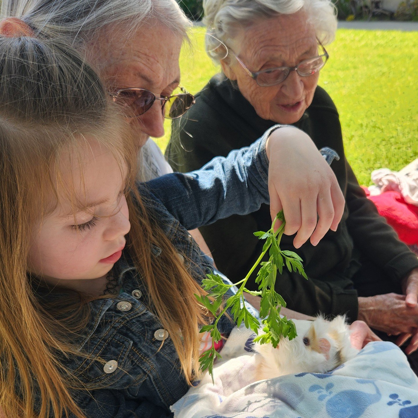 This week, residents and their loved ones interacted with a variety of unique animals, thanks to the non-profit organization, @thelittlezoofamily. This menagerie of interesting reptiles and animals was very educational! Thank you, The Little Zoo!!
#P