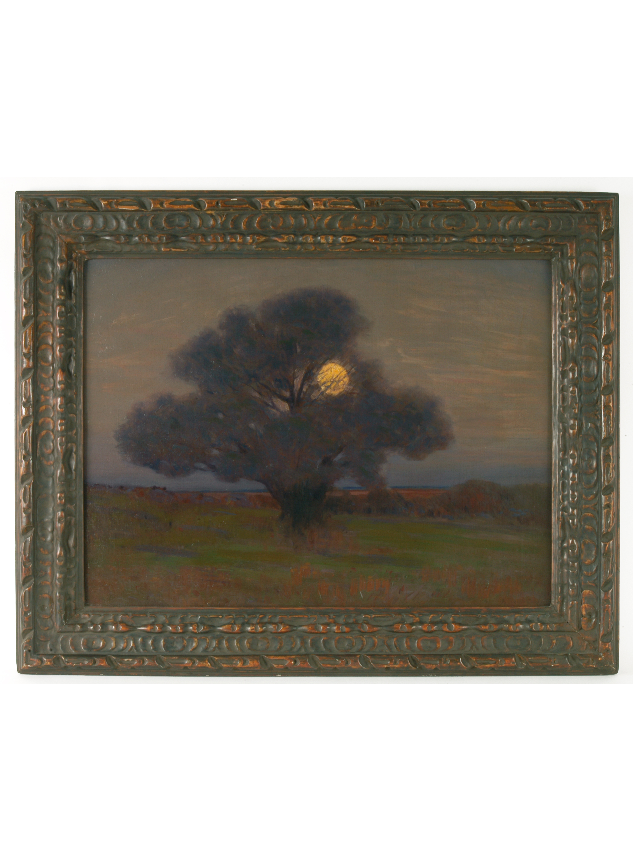 542 Dow Moon in TreeWEB.jpg