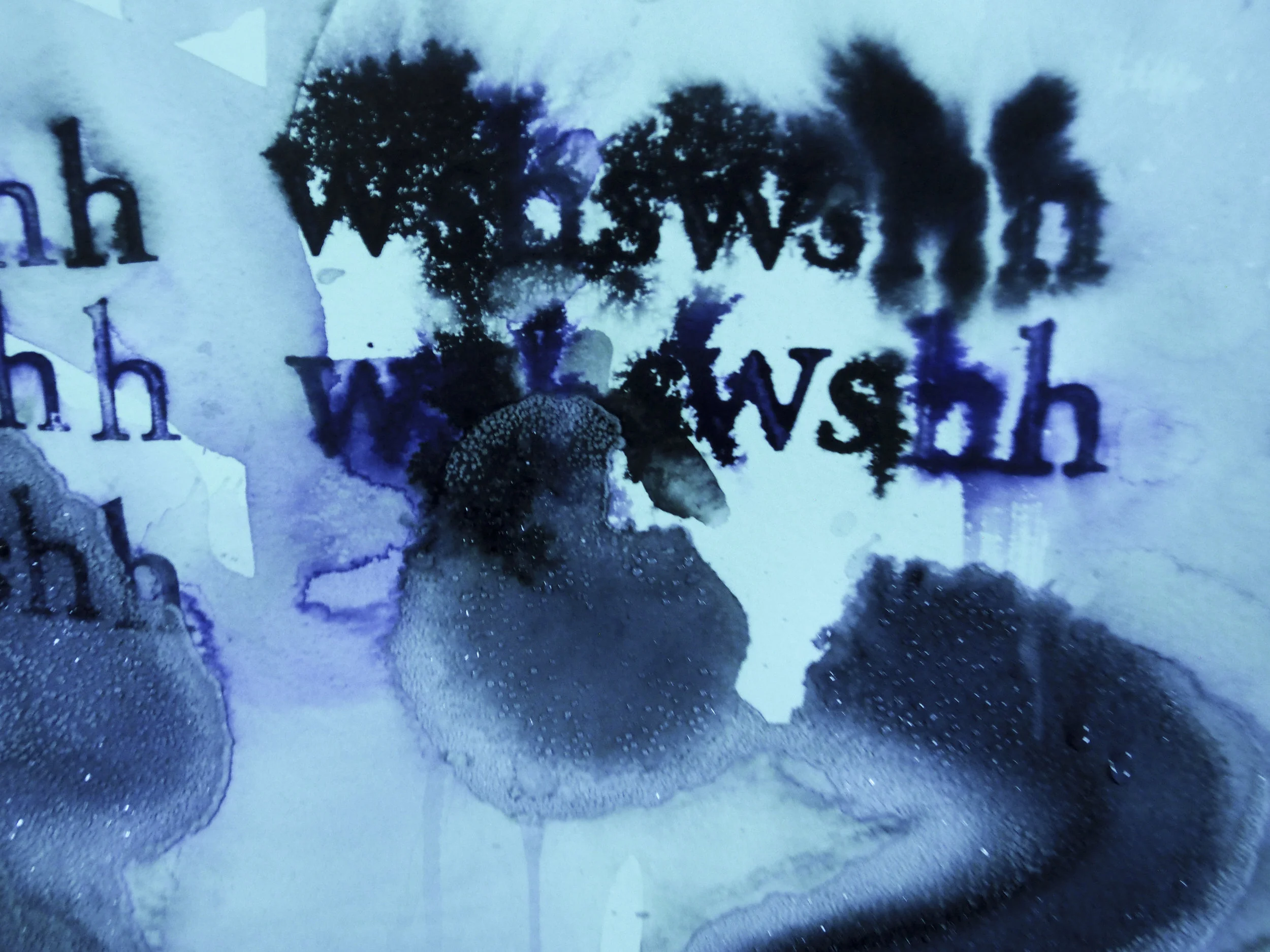 ÁGUA VIVA – David Horvitz