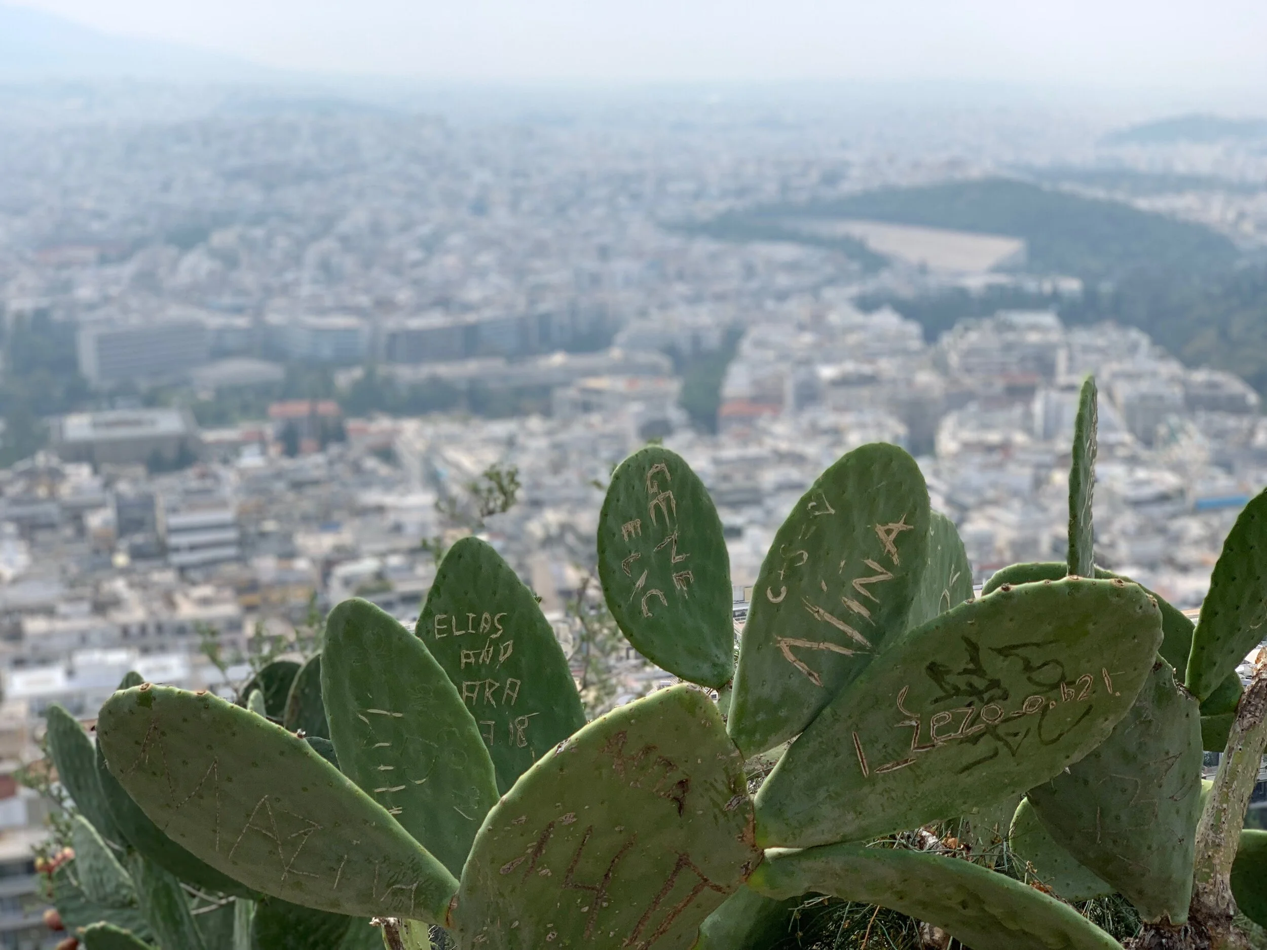 Athens: My Introduction to Ethical Travel