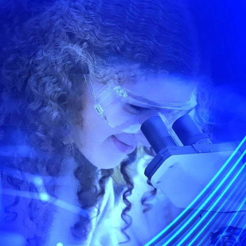 LTU Email Signature Banners