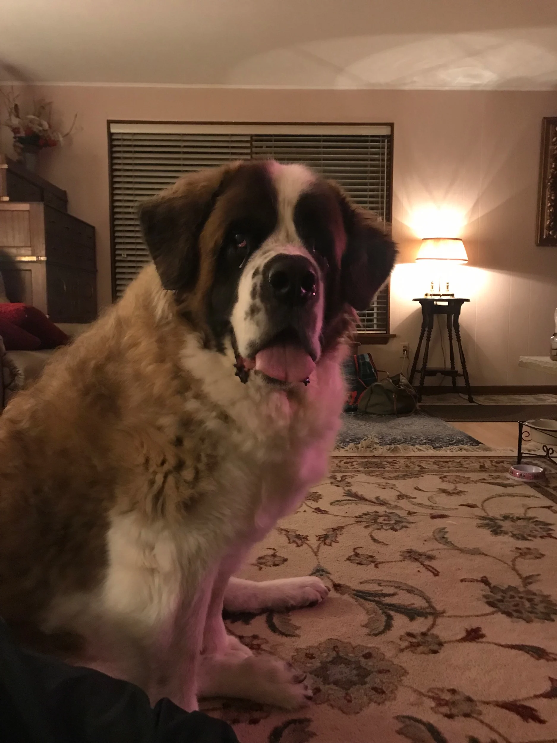 Trading One Heartbreak for Another