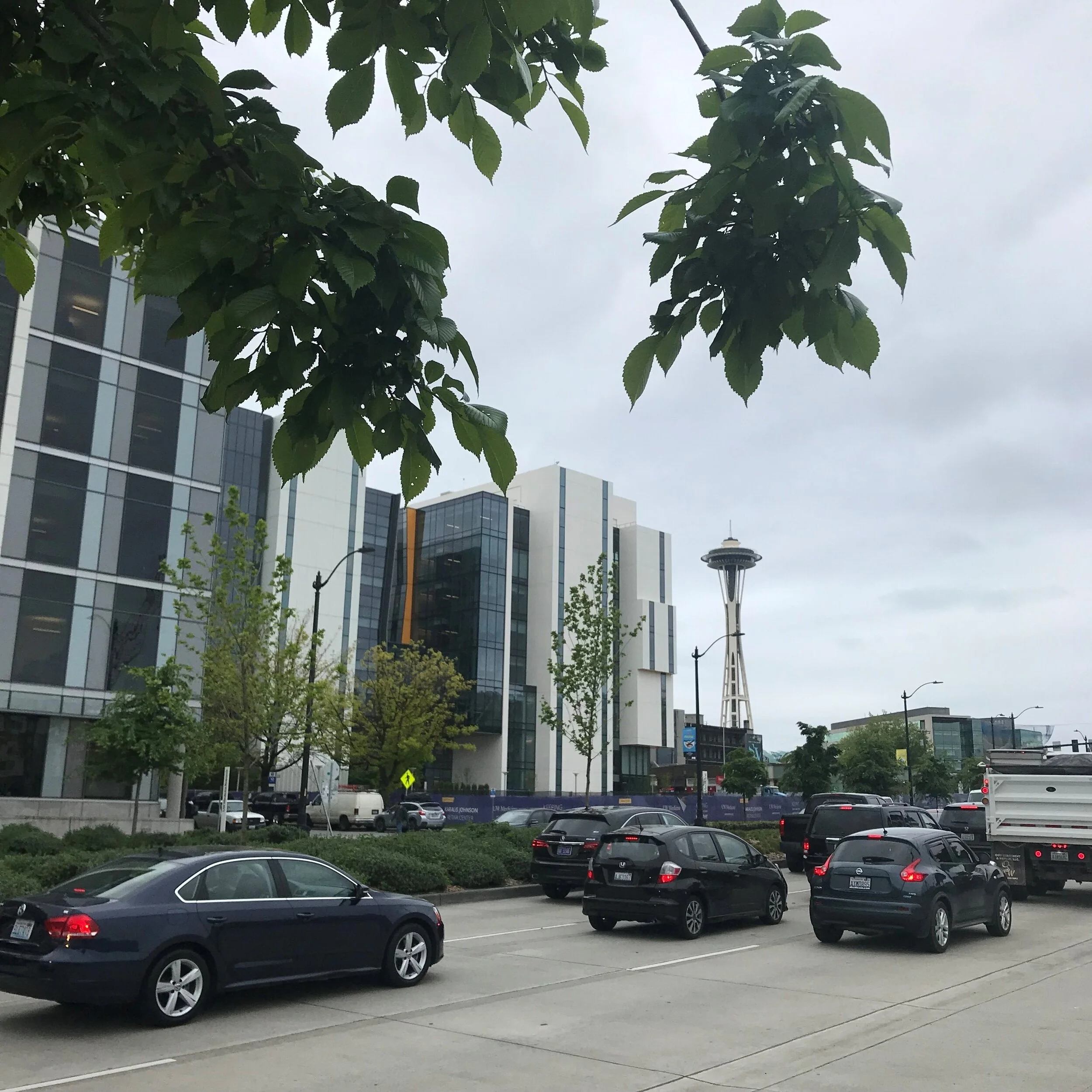 Audit - Seattle