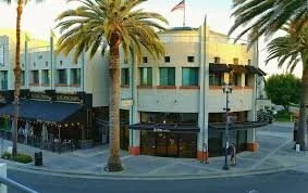 California Audit
