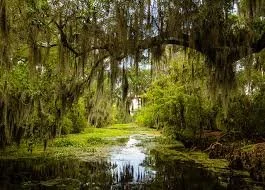 Audit Louisiana 