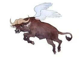 Buffalo Project