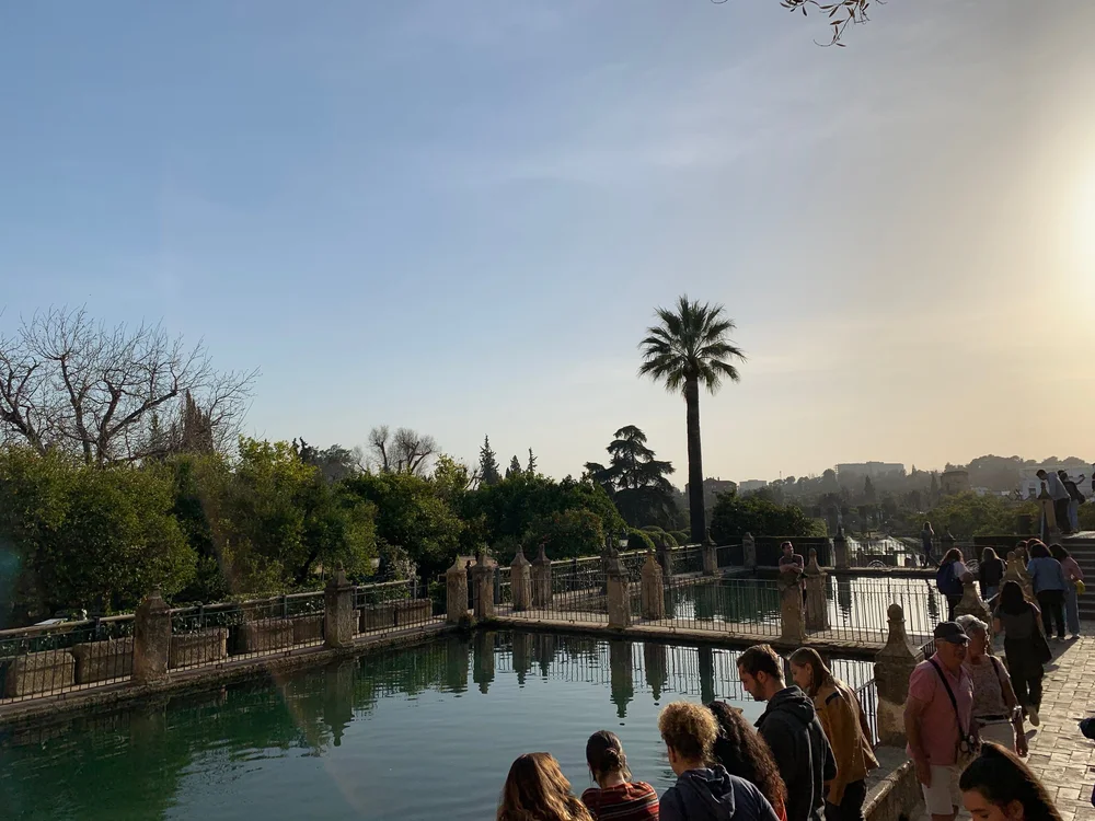 Views from the Jardín of Alcazar