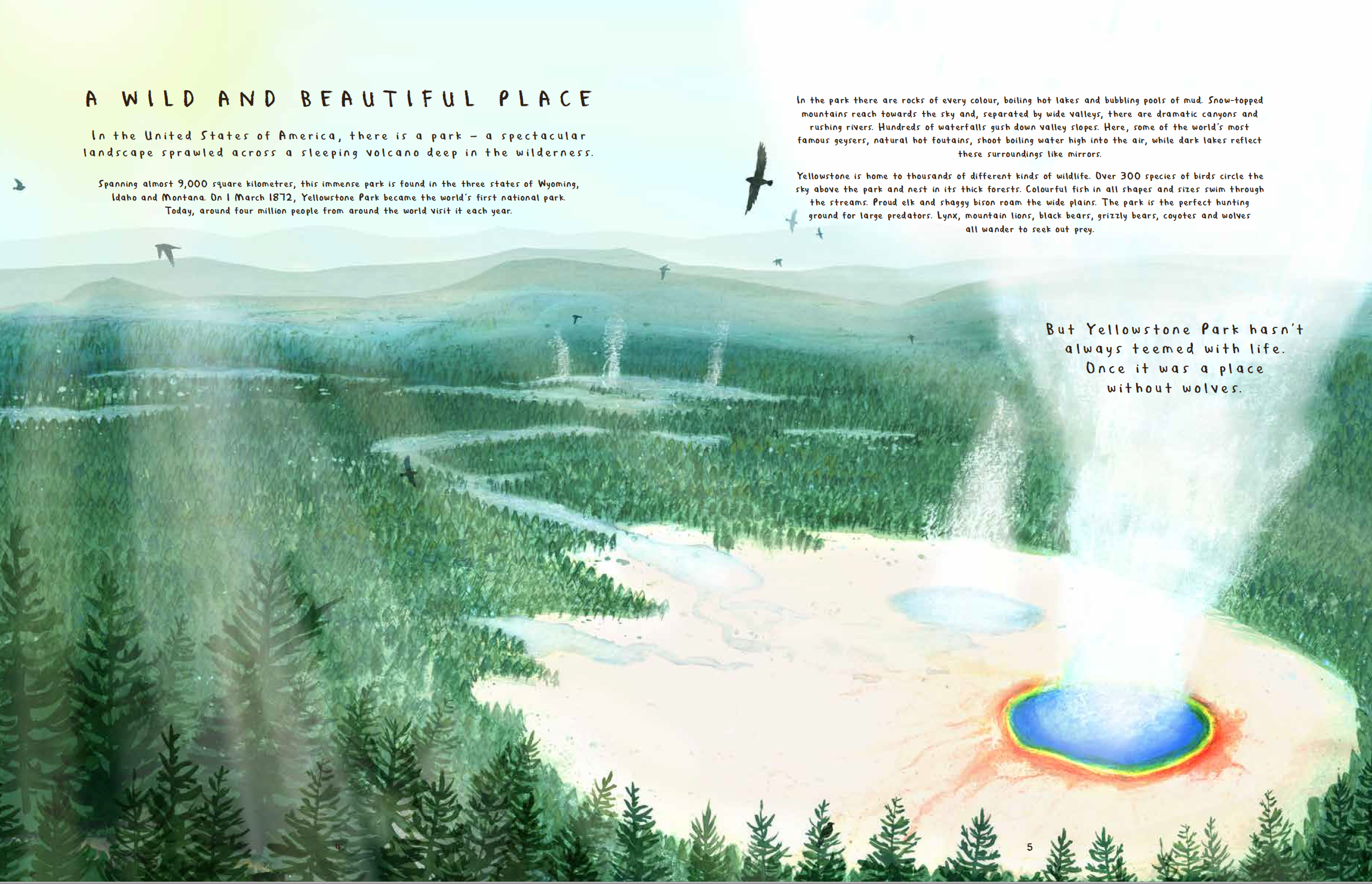 Fourteen Wolves: A Rewilding Story preview