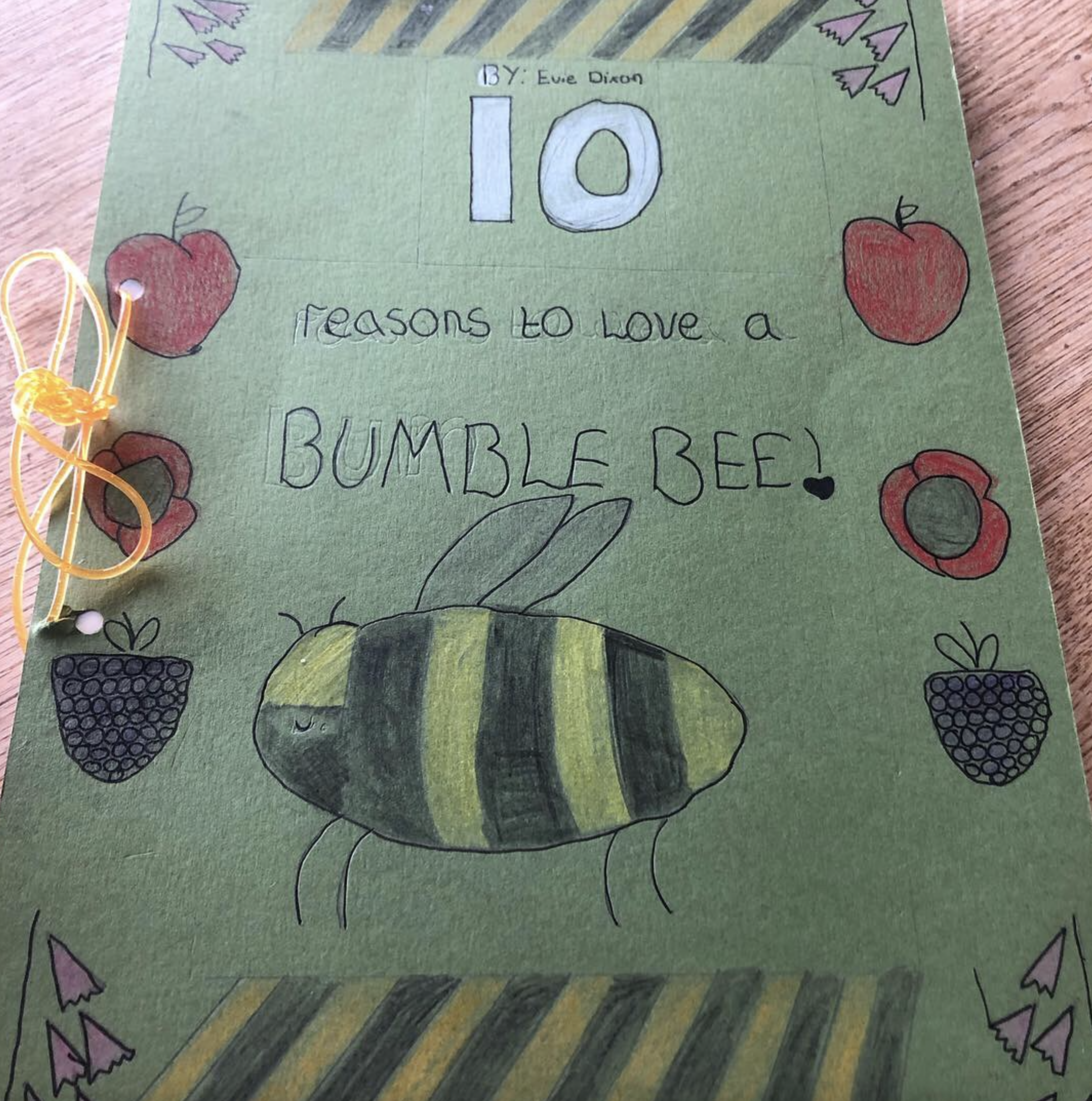 10 Reasons to Love a Bee book