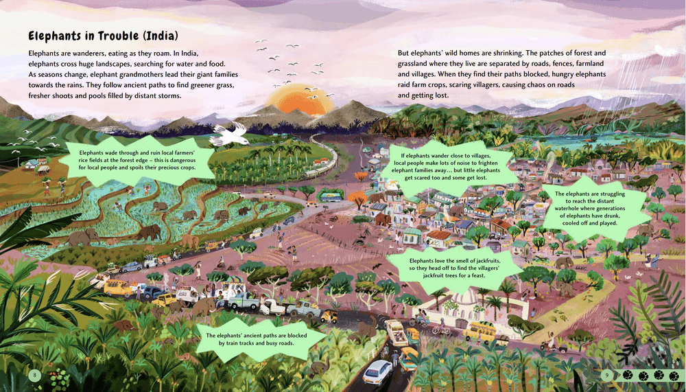 Wildlife Crossings: Protecting Animal Pathways around the World ...