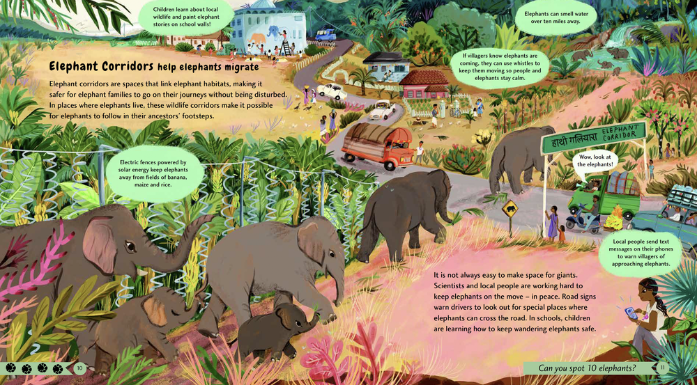 Wildlife Crossings: Protecting Animal Pathways around the World ...