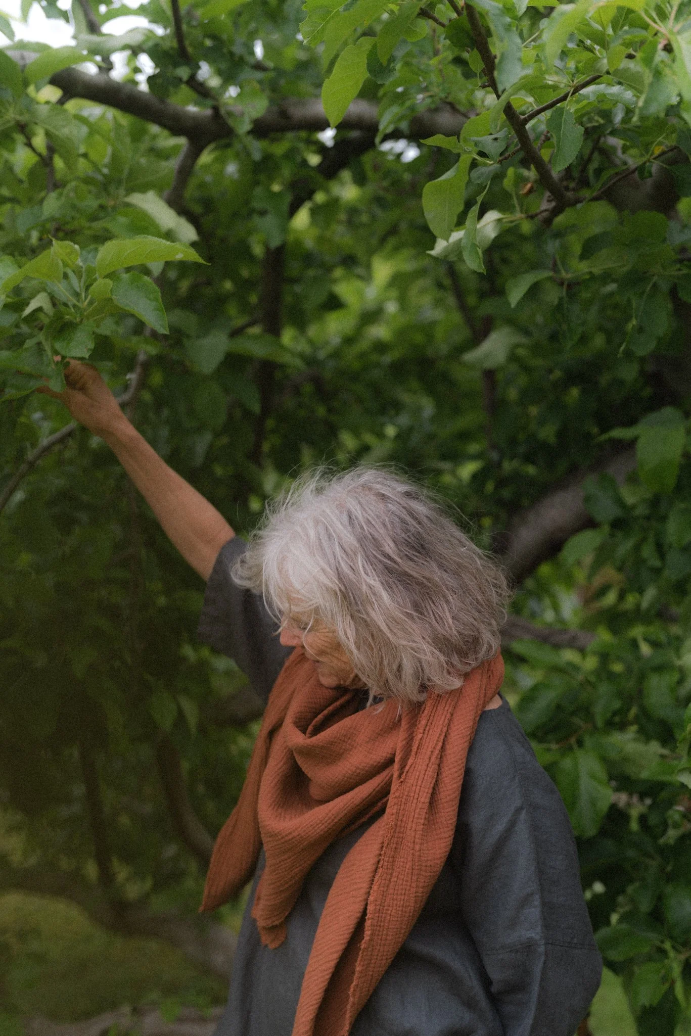 Moss Grey Denman 24 - Joslyn Kilborn Photography-252.jpg