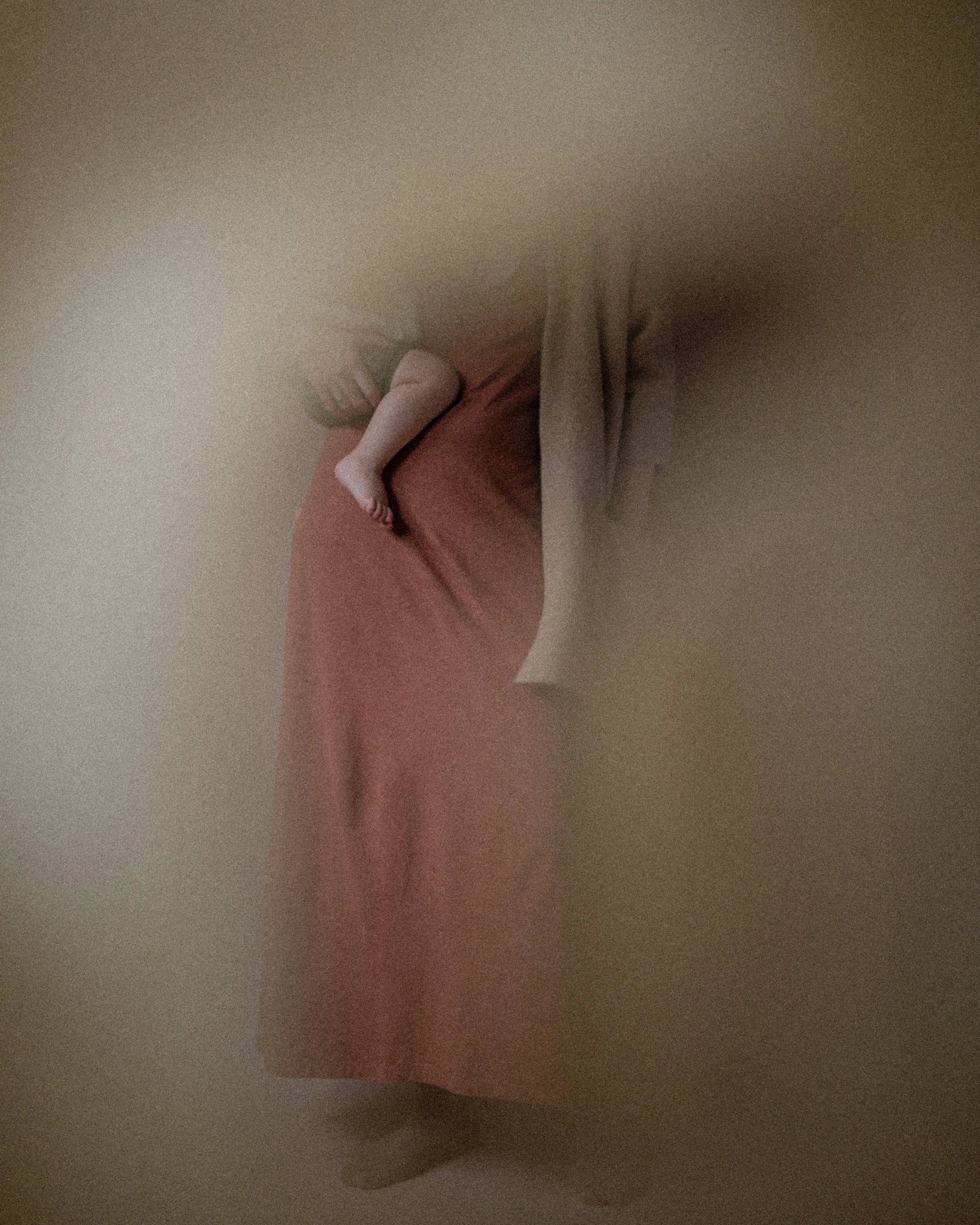 Moss Grey Winter 2025- Joslyn Kilborn Photography-42.jpg