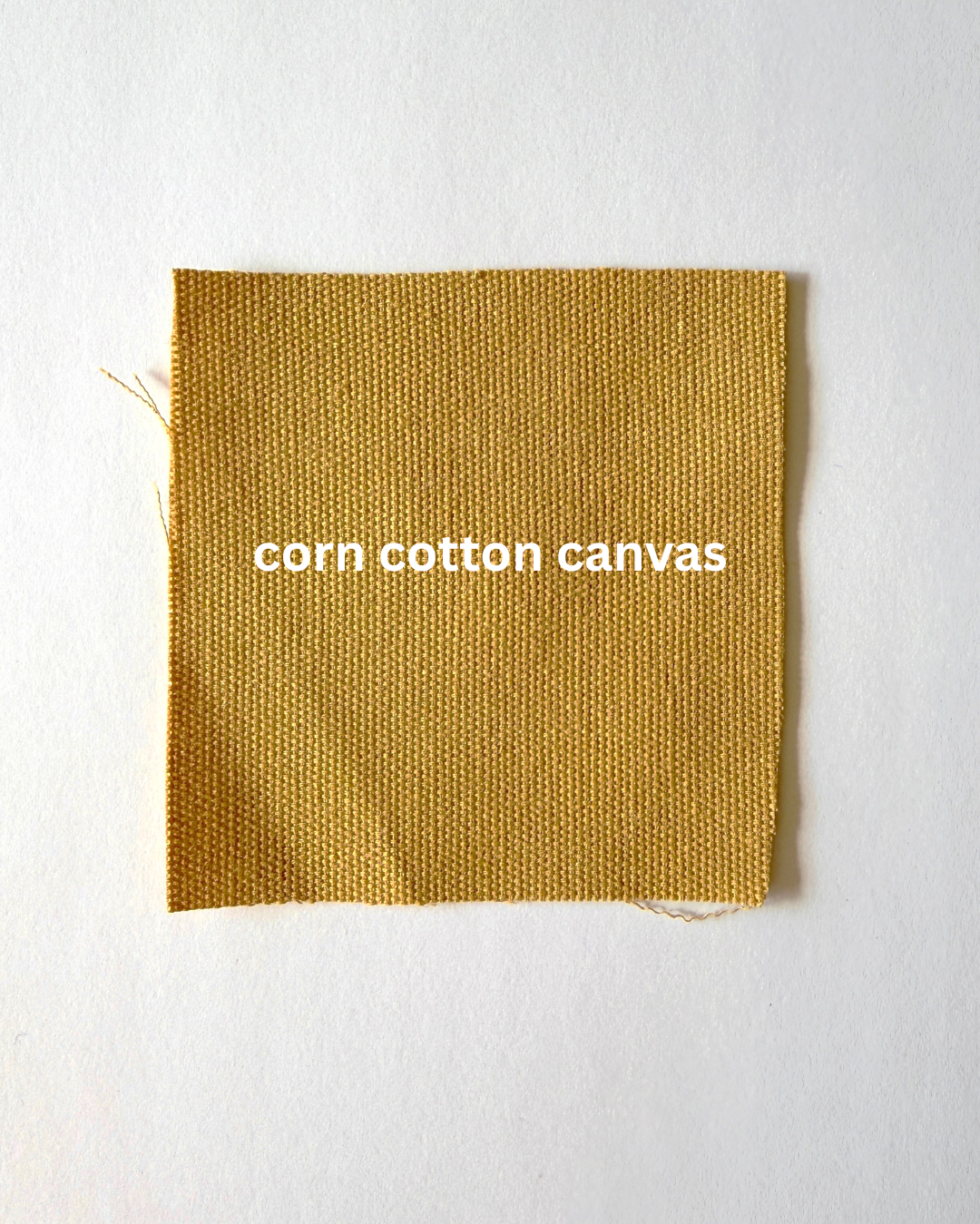 CORN.png