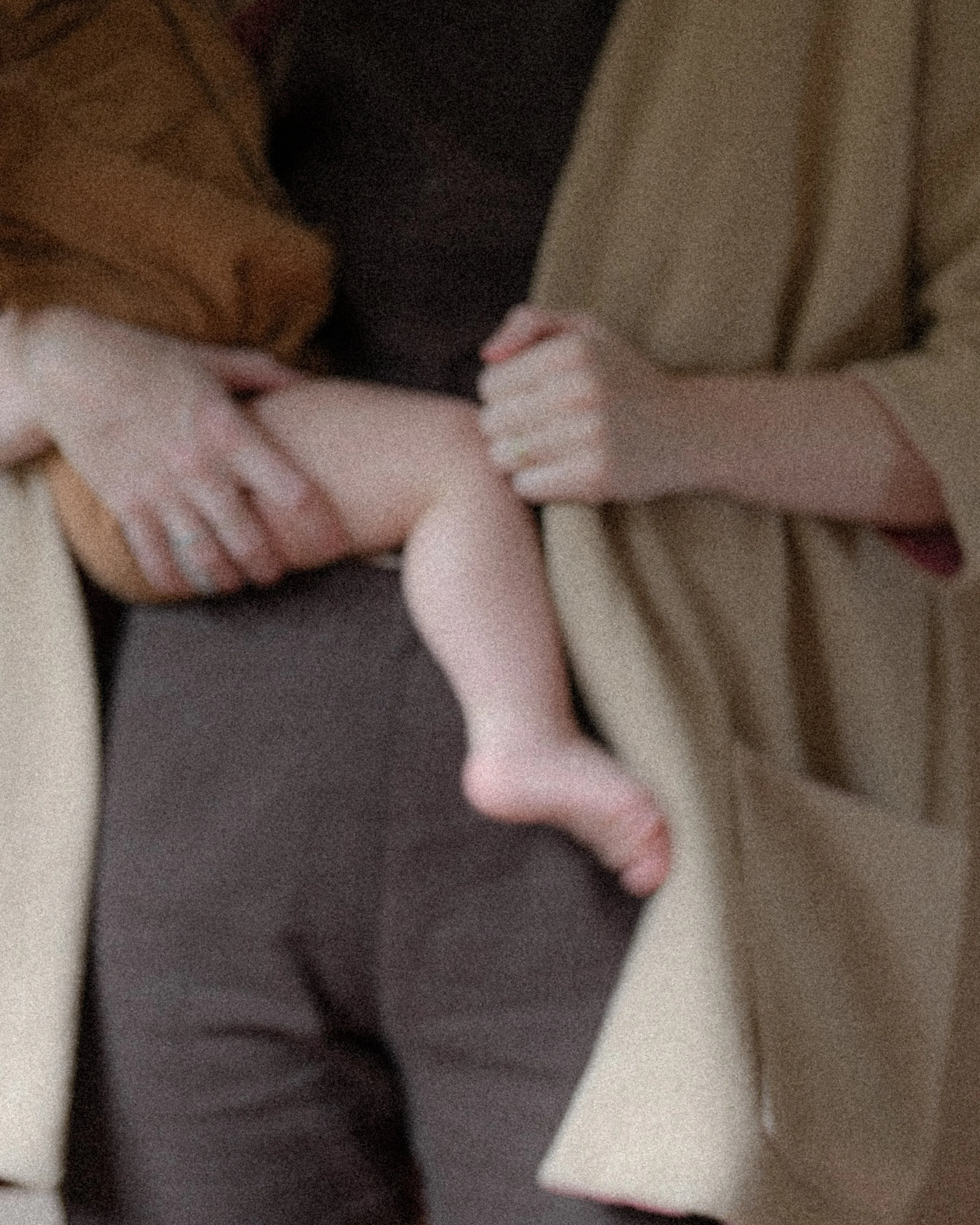 Moss Grey Winter 2025- Joslyn Kilborn Photography-80.jpg