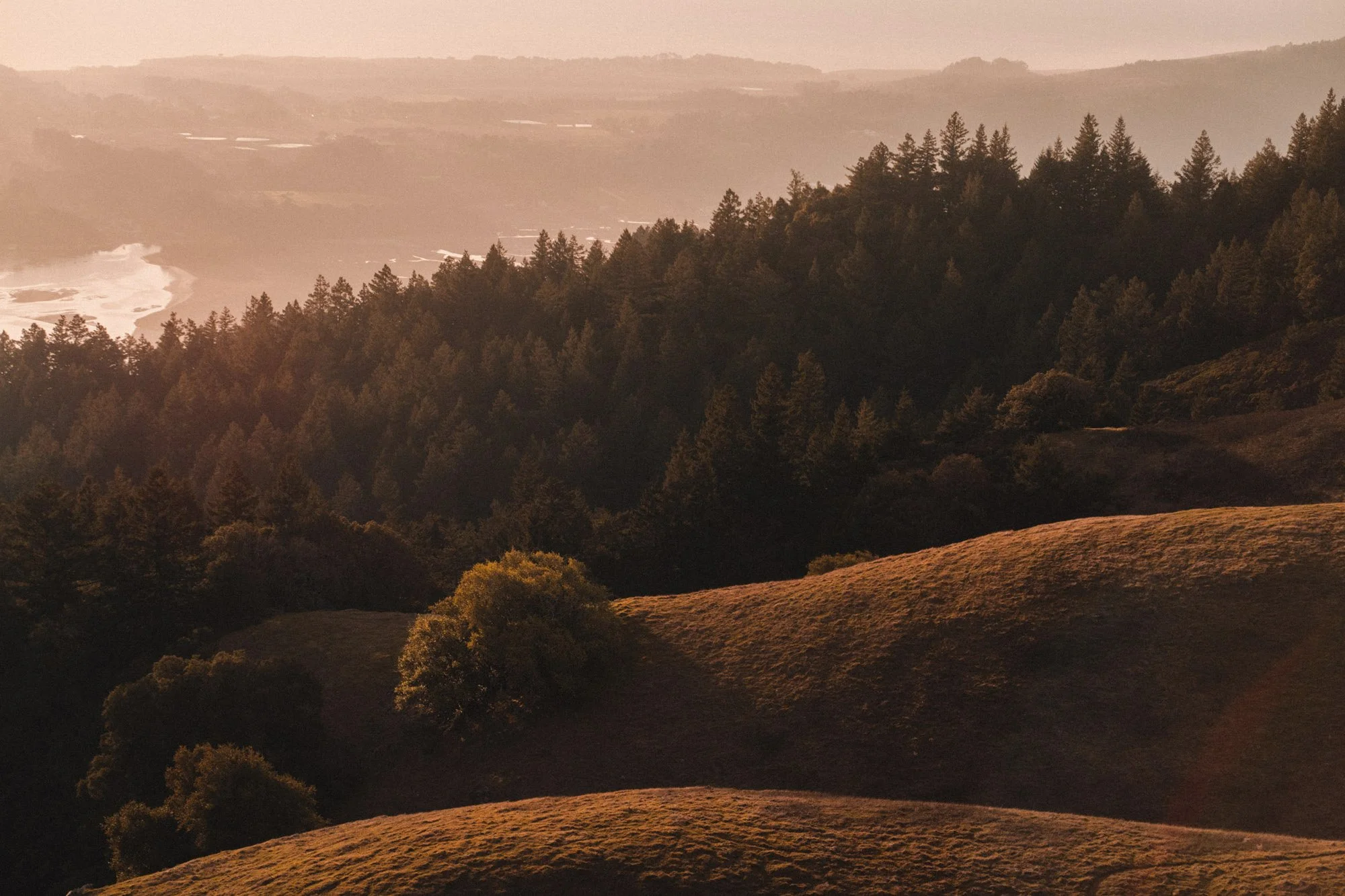 Brandon Martinez - Mt Tam - Sun and Hills.jpg