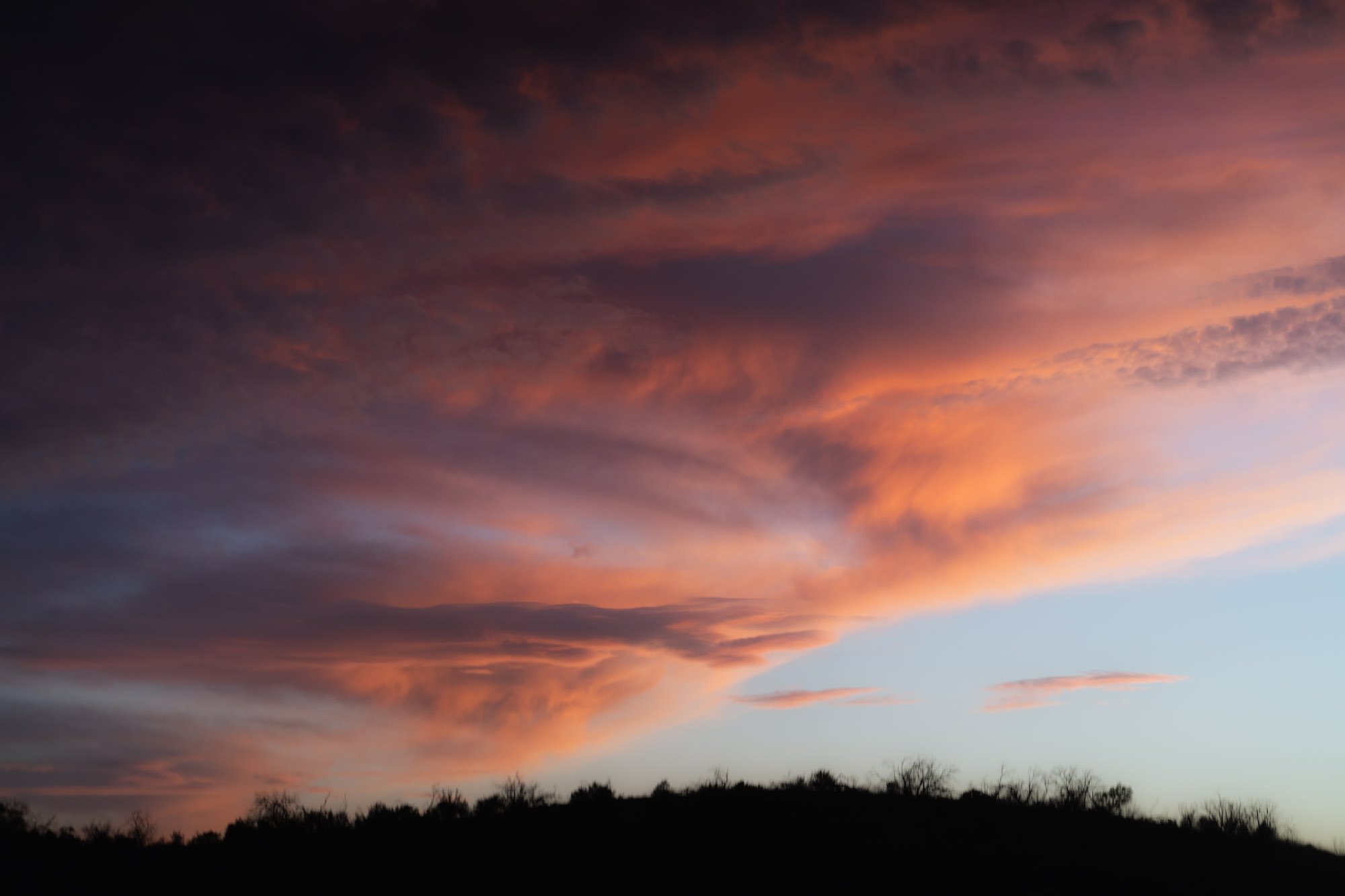 Brandon Martinez - Sunset - Burn - Los Angeles - 22.jpg