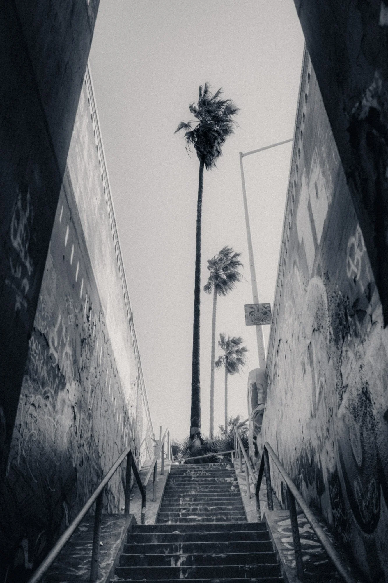 Brandon Martinez - Rhythm & Meter 8 - Los Angeles Metro.jpg