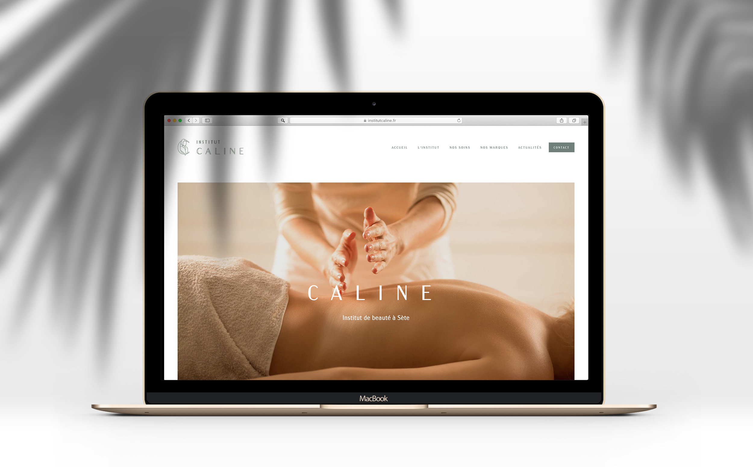 site_institutCaline-new.jpg