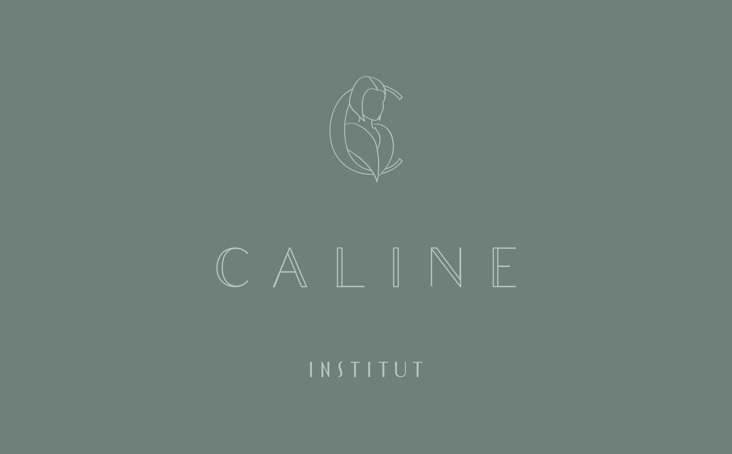 logo_institutCaline-new.jpg