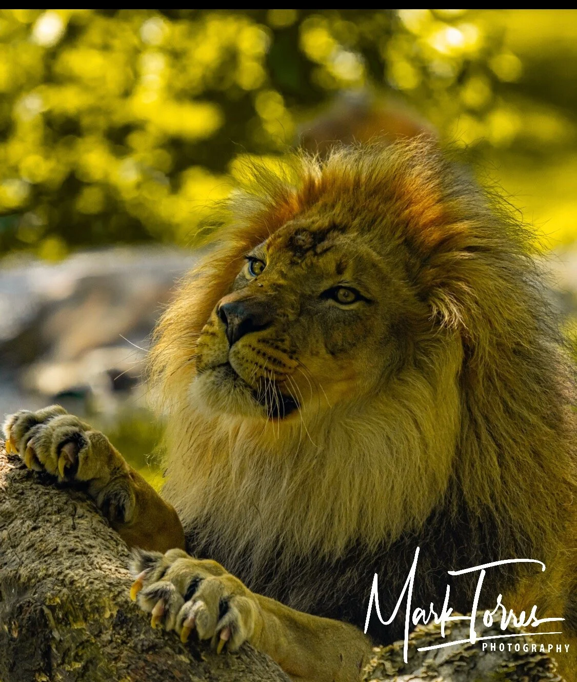 IMG_8875.JPG