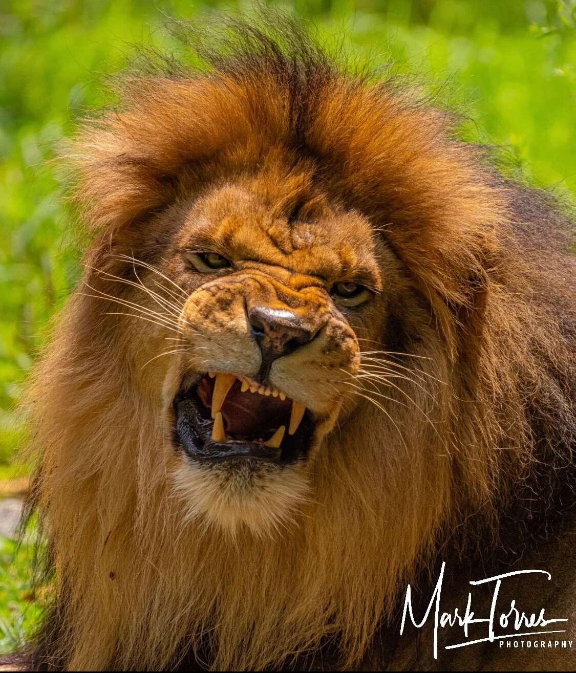 IMG_8036.JPG