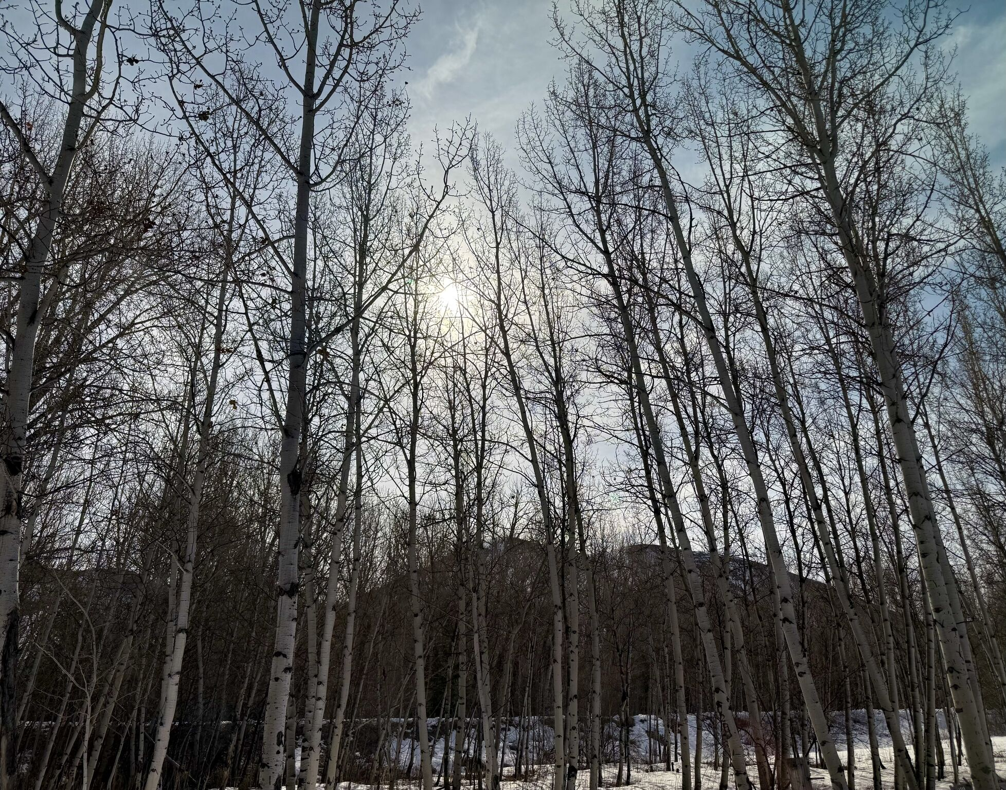 The Beauty in the Imperfect