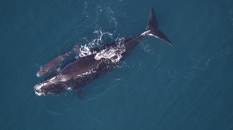 Photo credit - NOAA