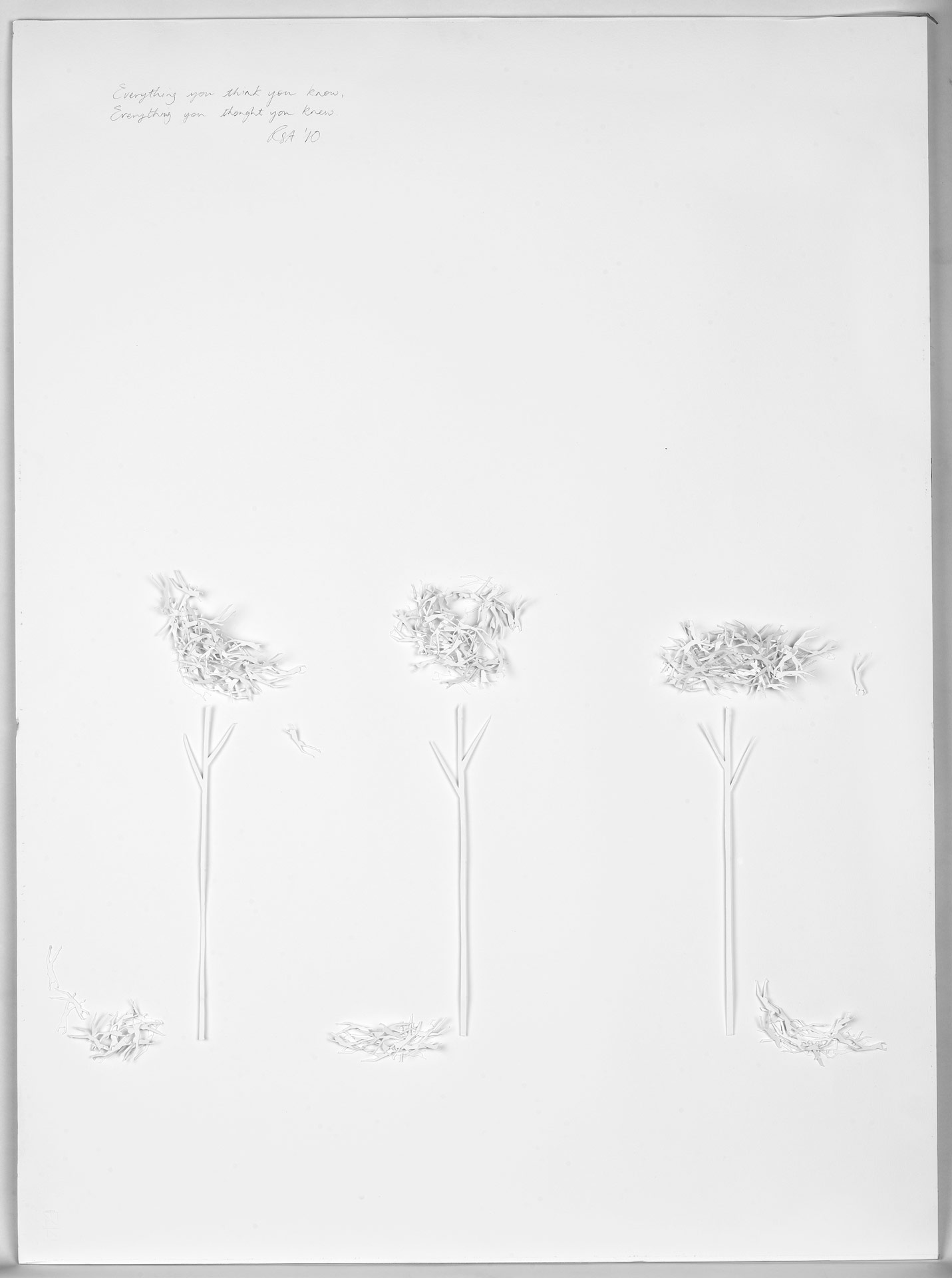 Everything You Think You Know, Everything You Thought You Knew 87cm x 67cm Foamcore, watercolour paper, pins