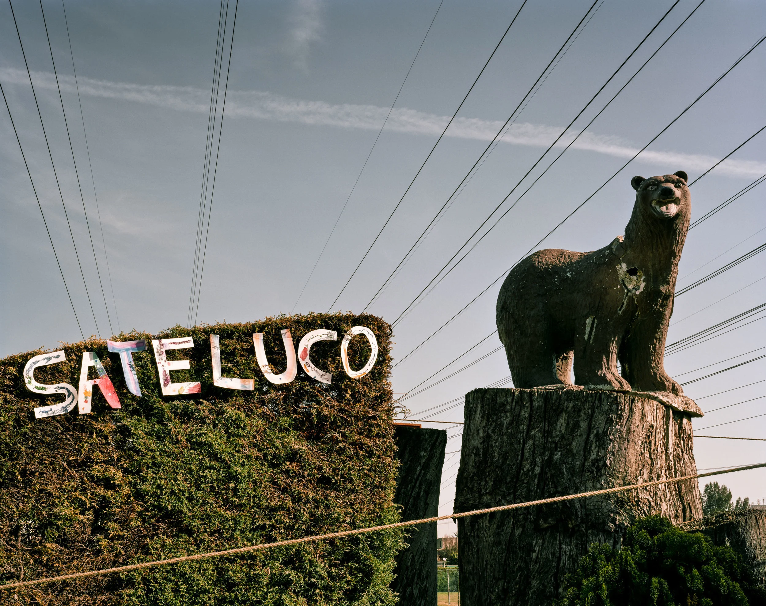 sateluco-cover-page-bear-oso-ciudad-satelite-mexico.jpg