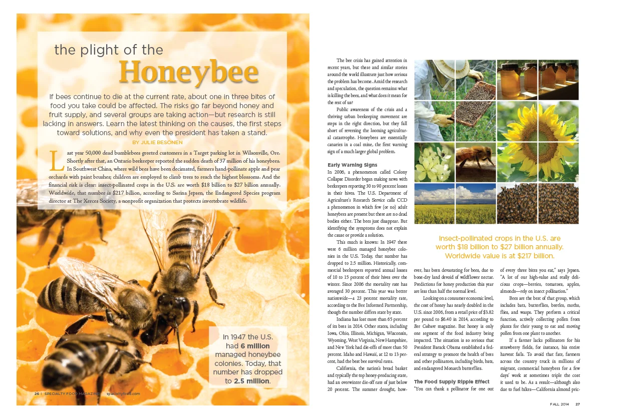 8Spreads_honeybee.jpg