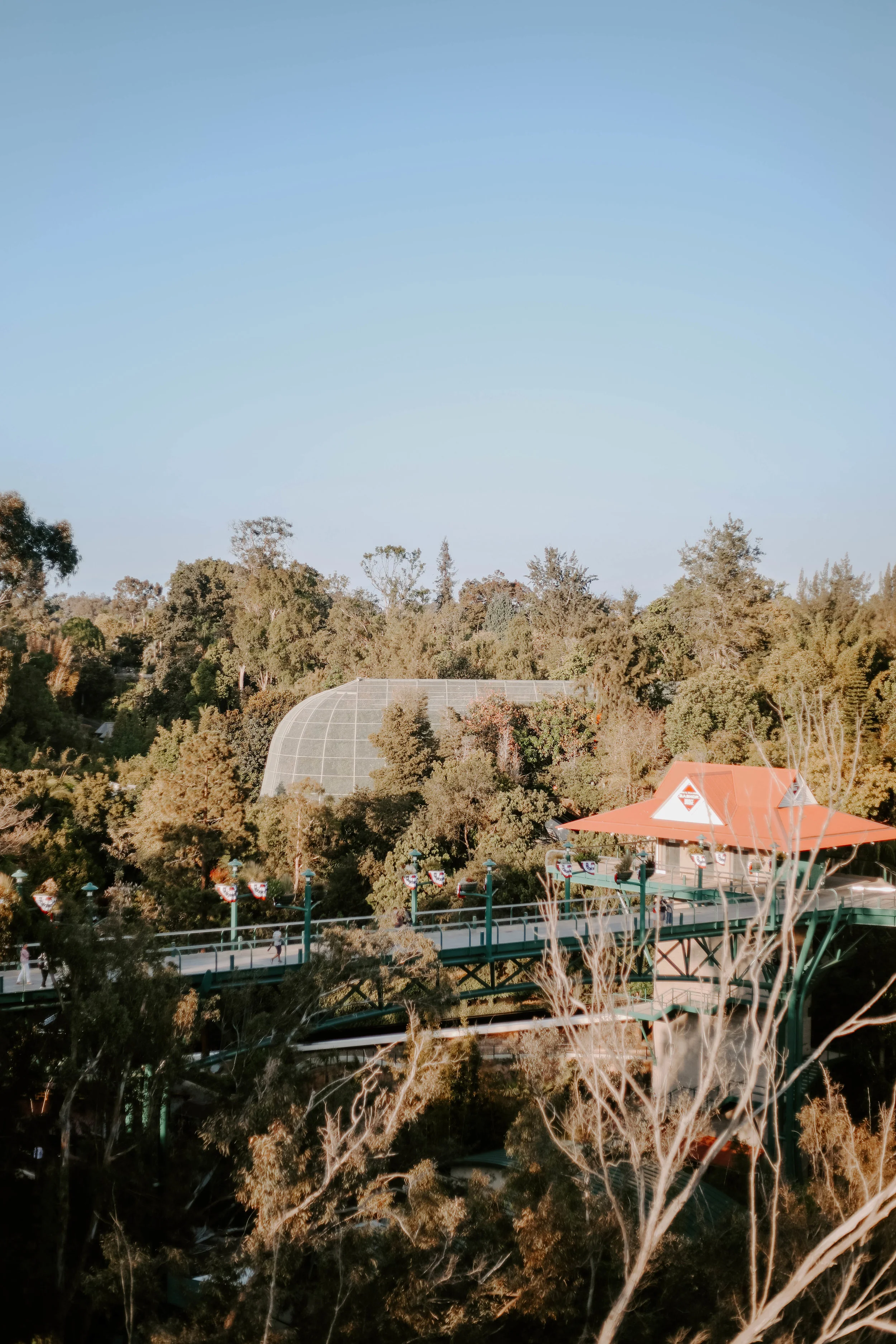 Cali-11.jpg