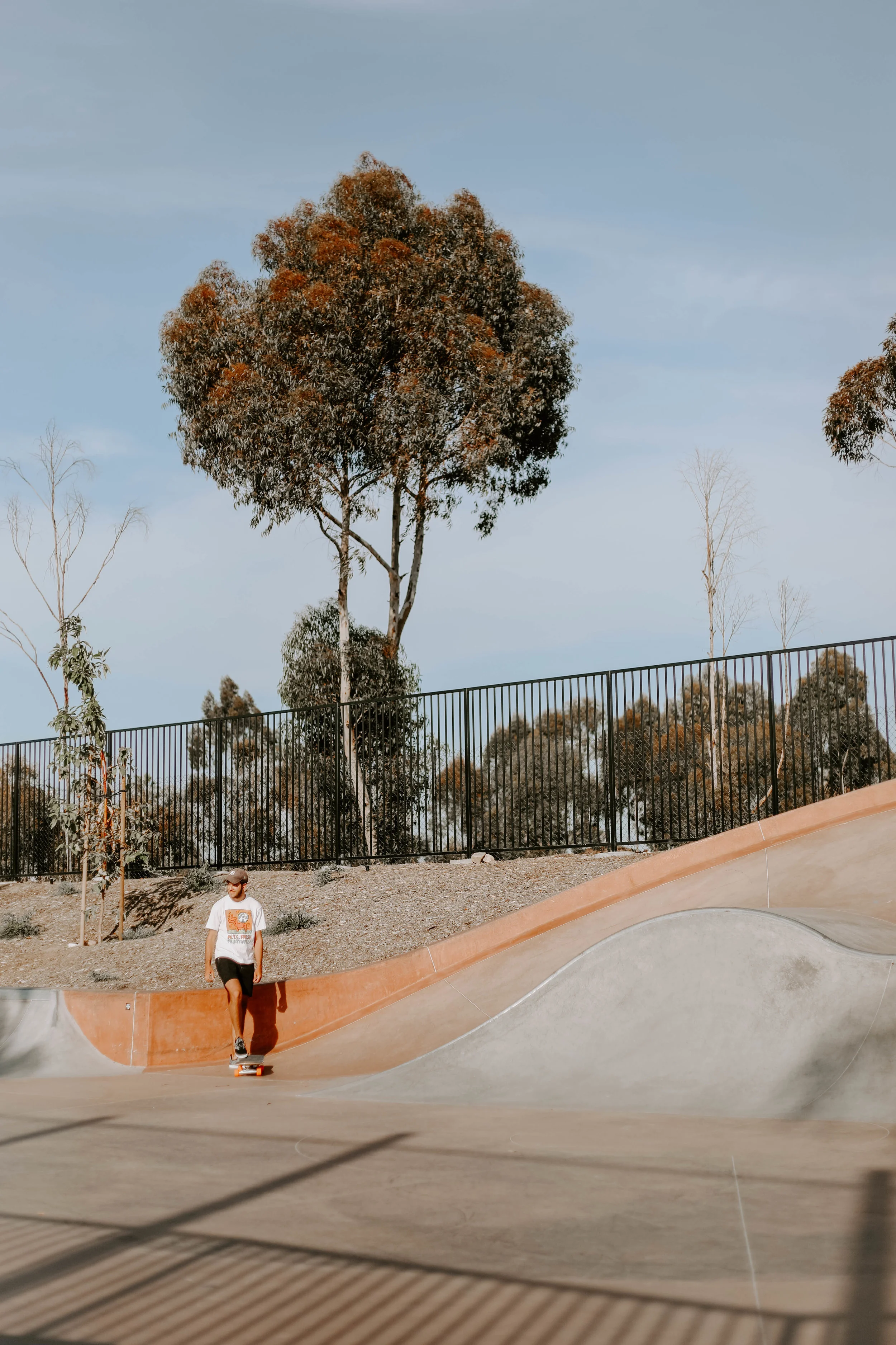 Cali-50.jpg