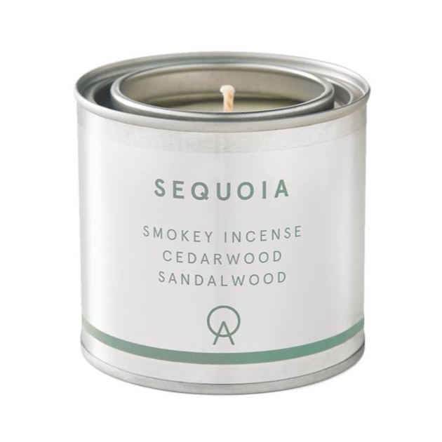 Sequoia_Candle_large%25402x.progressive.jpg