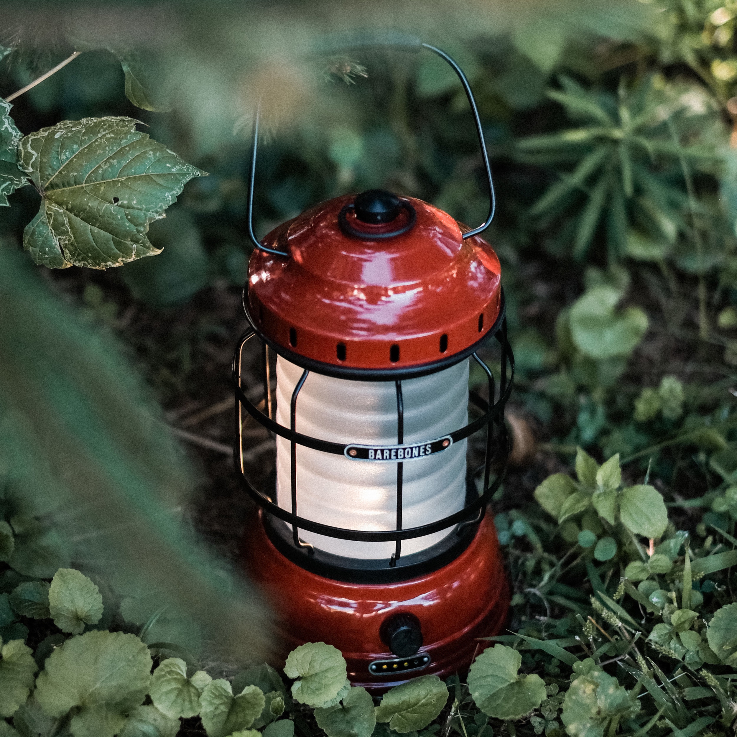 FOREST LANTERN — Ace General Store