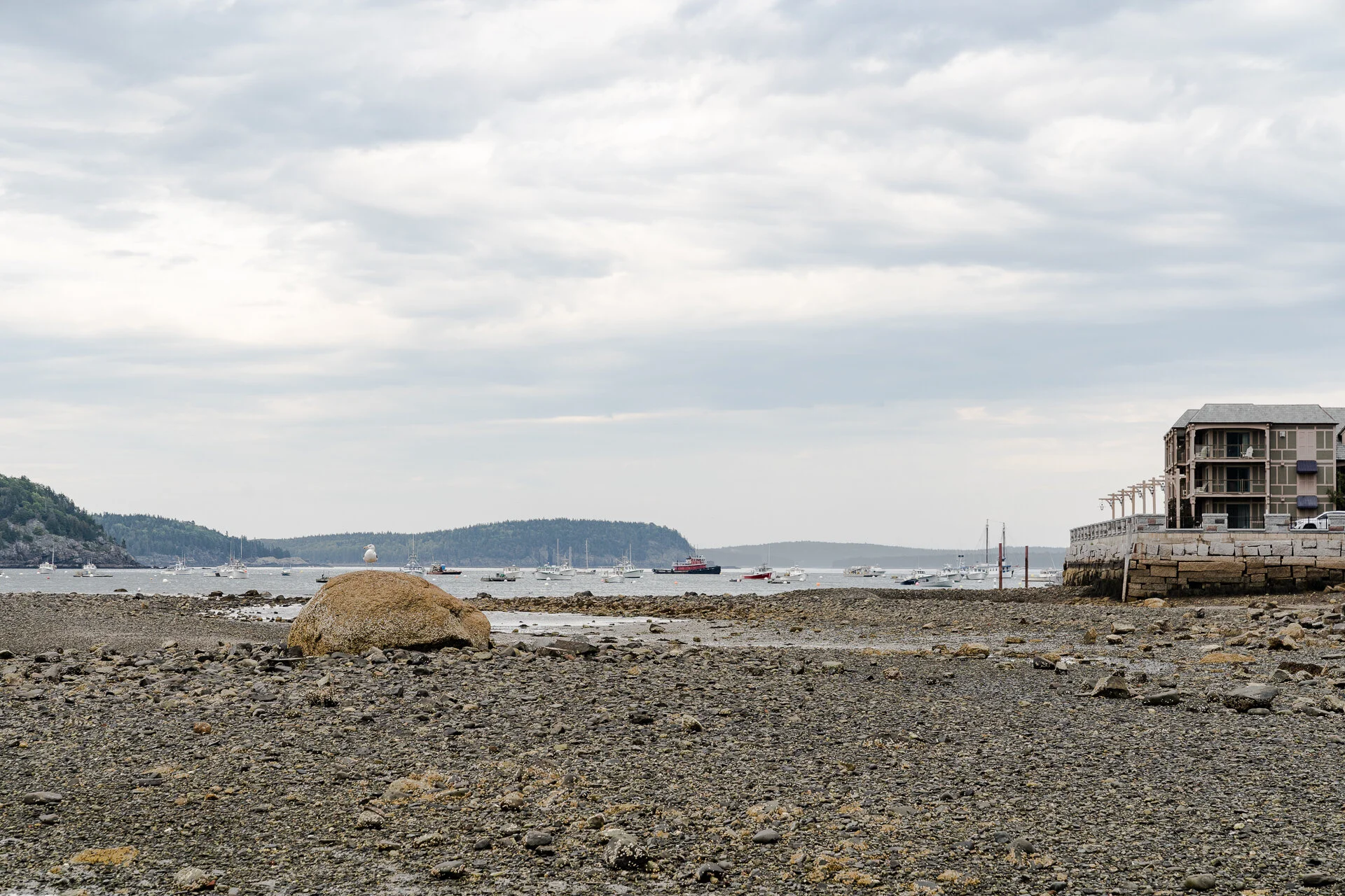 Bar-Harbor-Maine-Sunset-vacation-Kathleen-Kathy-Roberts-Asheville-NC-Photographer-15.jpg