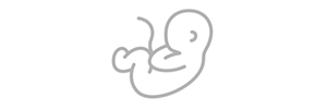 Prenatal-visits.png