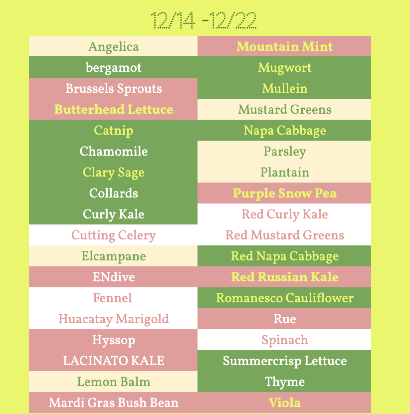 Flat of plants for delivery 12/23