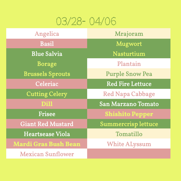 Screenshot 2026-03-28 at 6.43.31 PM.png