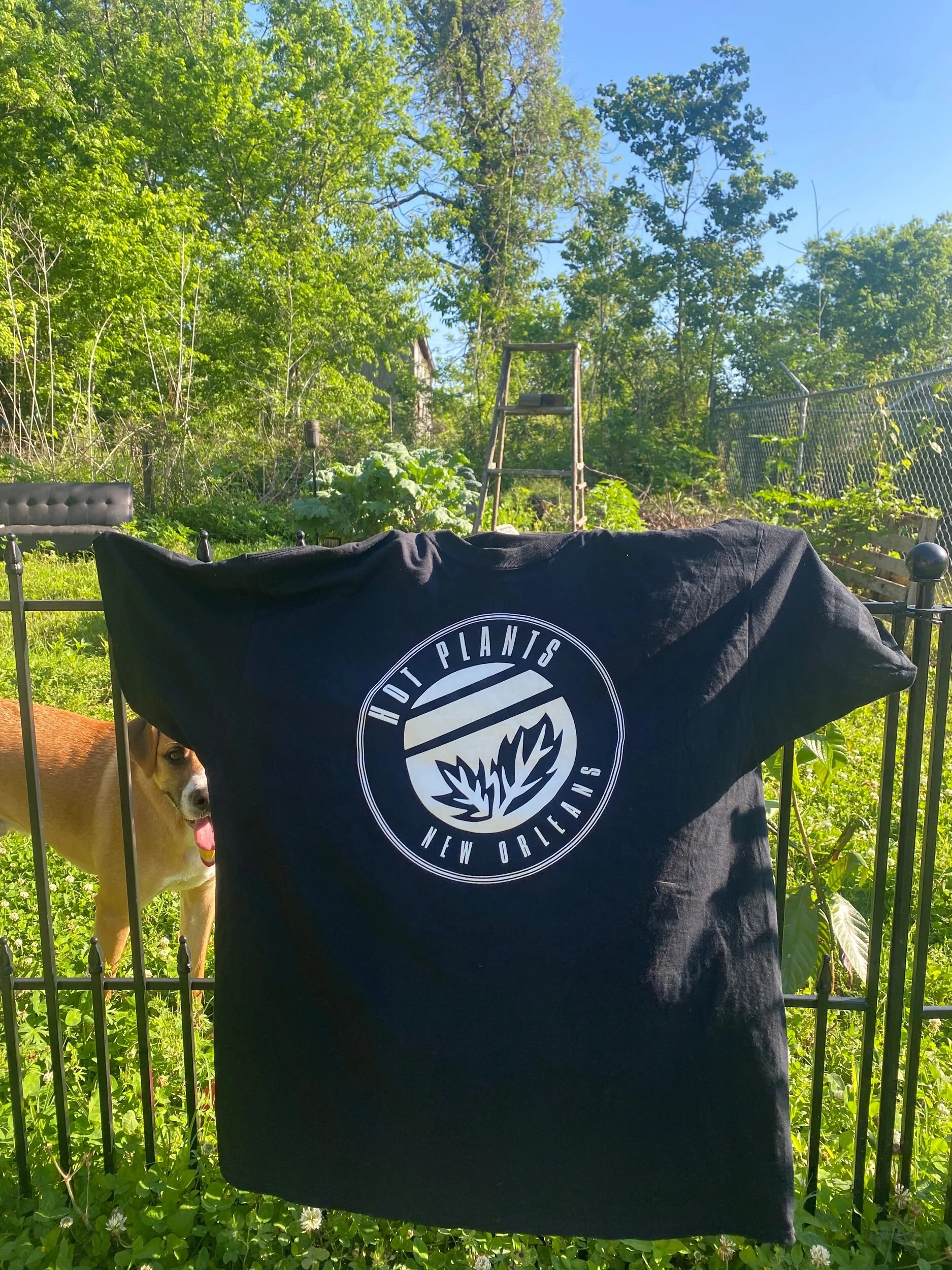 D44A36FC-FB93-4B11-A82D-785F48B8BA08